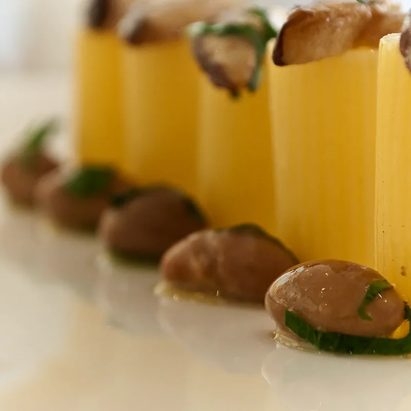 Ricetta Rigatoni del contadino - La Molisana