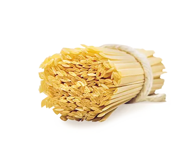 Fettuccine - Pasta La Molisana