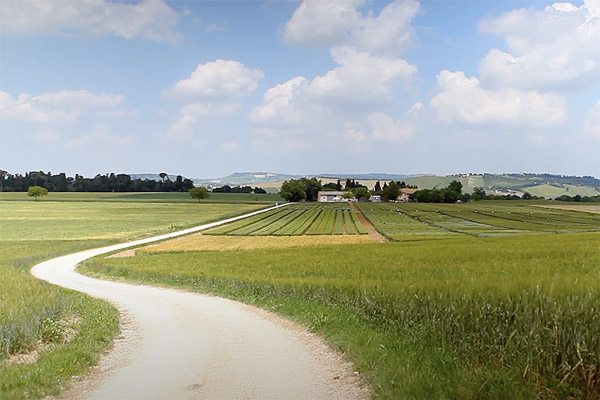 filiera | La Molisana
