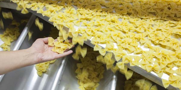 Filiera della pasta - filiera alimentare e produttiva della pasta