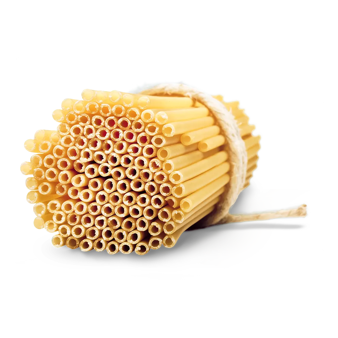 Mezzi Ziti