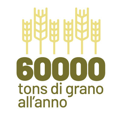 60000 tonnellate di grano all'anno