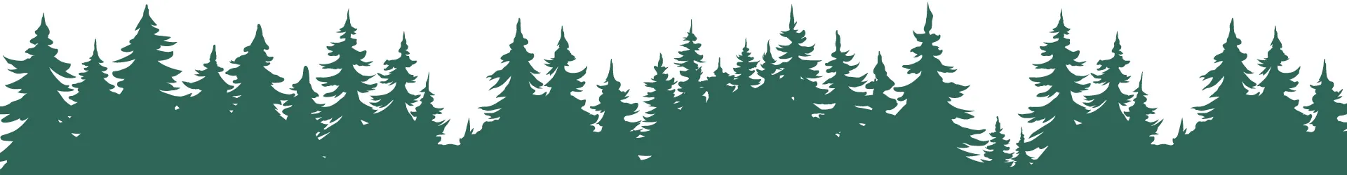 silhouette alberi foresta