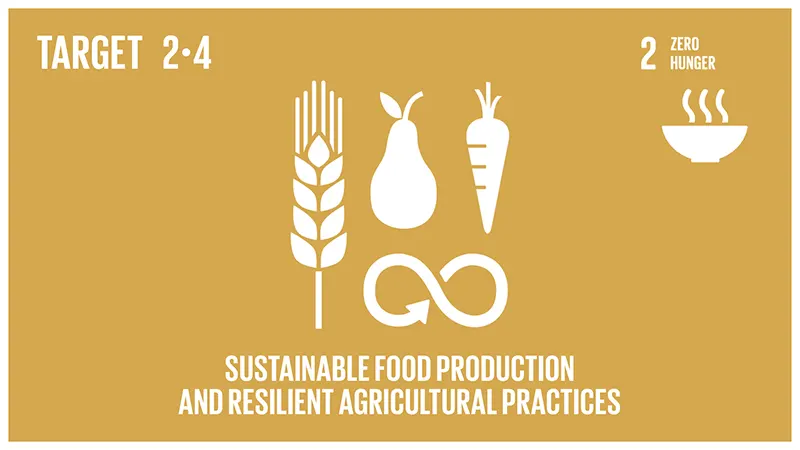 Global Goals - Target 2.4 - Zero Hunger - Sustainable food production and resilient agricultural practices